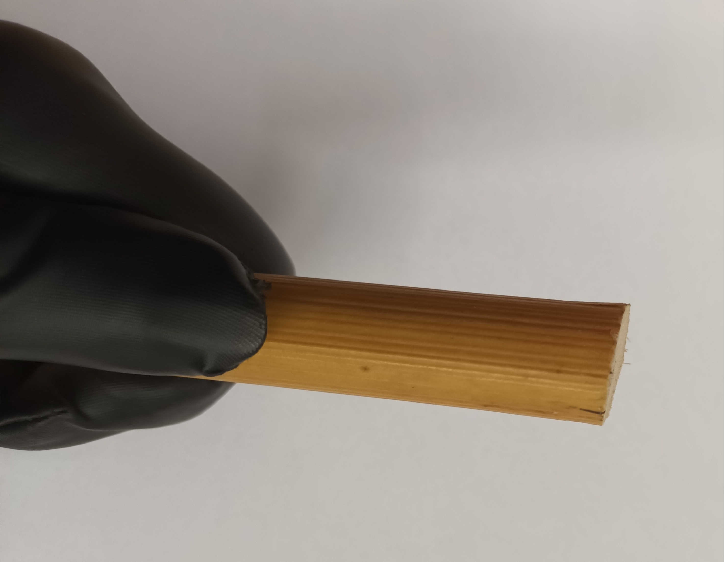 Cane unbehandelt, ungeschält, ca. 20 mm dick, Länge ca. 70 cm