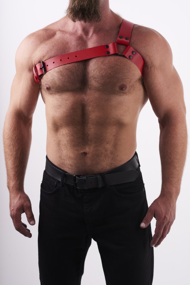 Leder Brust Harness Y Rot